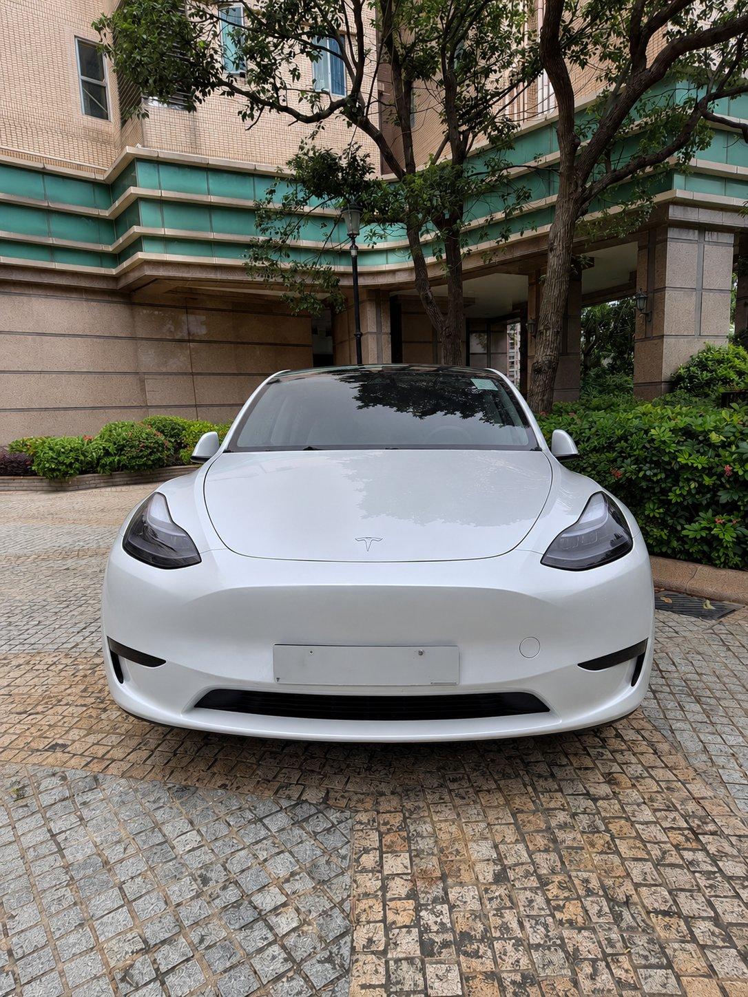 2024 Tesla Model Y RWD in white